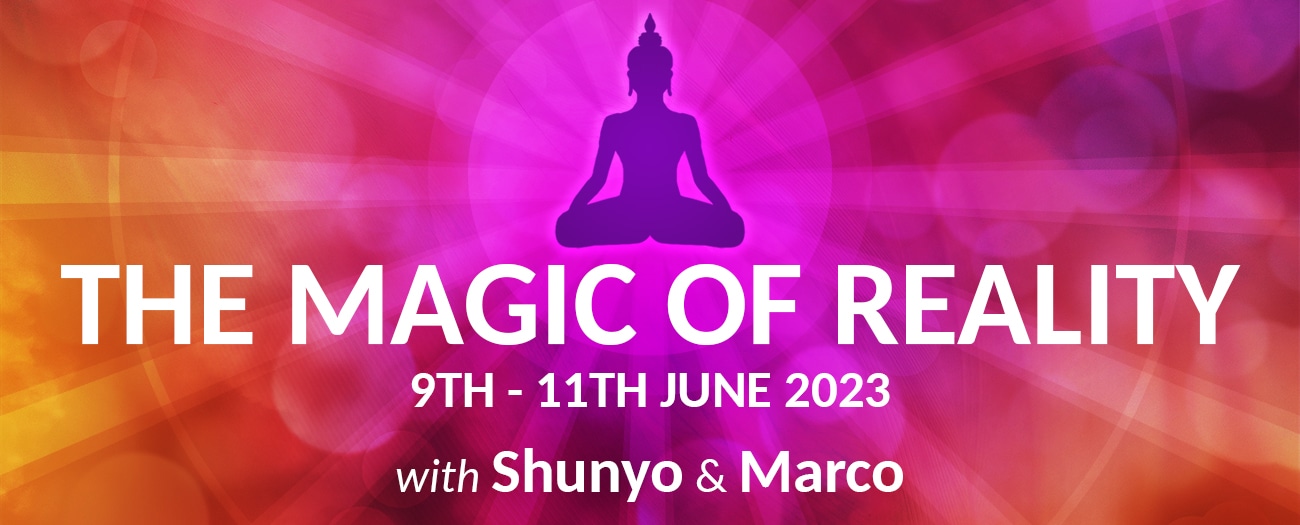 magic-of-reality