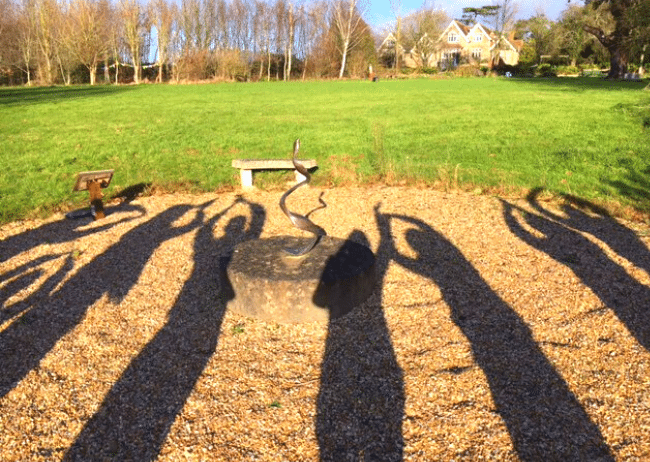 shadows-grass