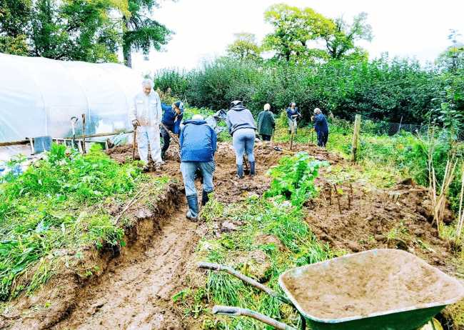 garden-walking-people