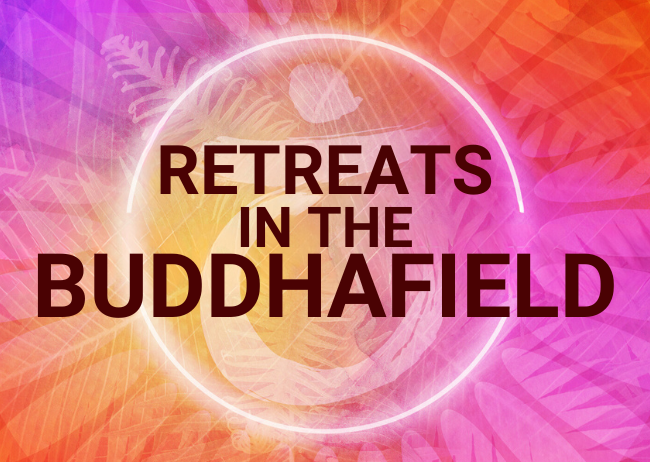 retreats-in-the-buddhafield