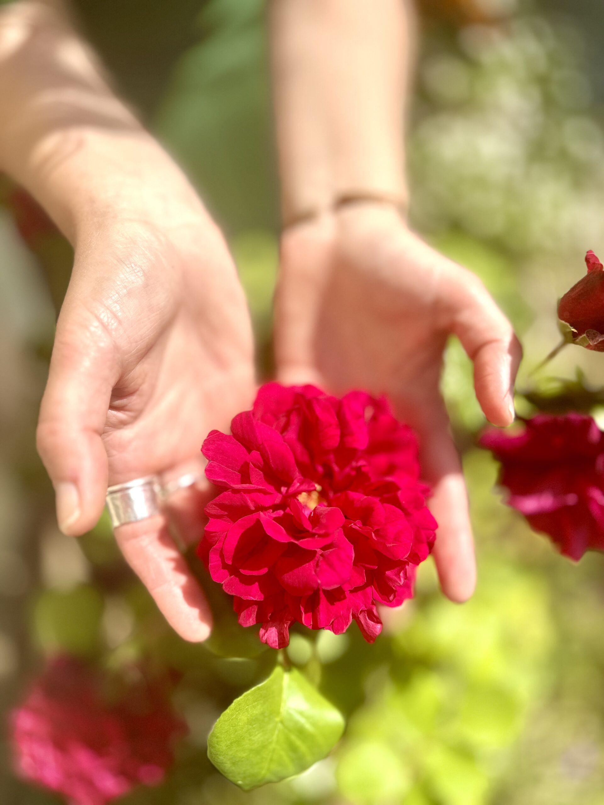 red-flower-hands