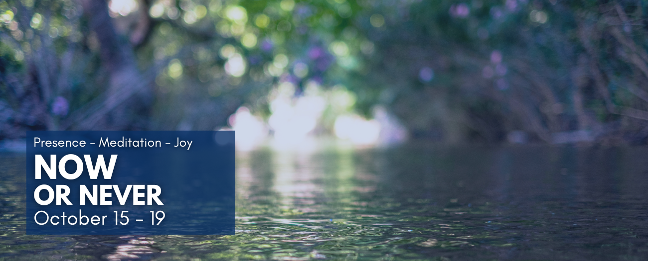 now-never-shunyo-marco