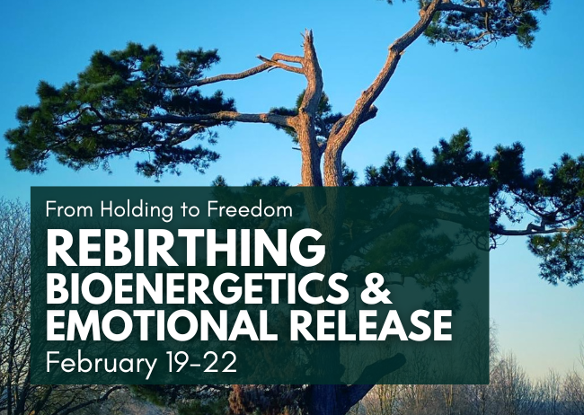 rebirthing-bioenergetics